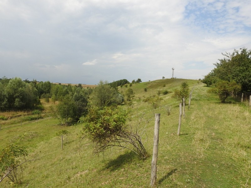 šetrné pasení ovcí